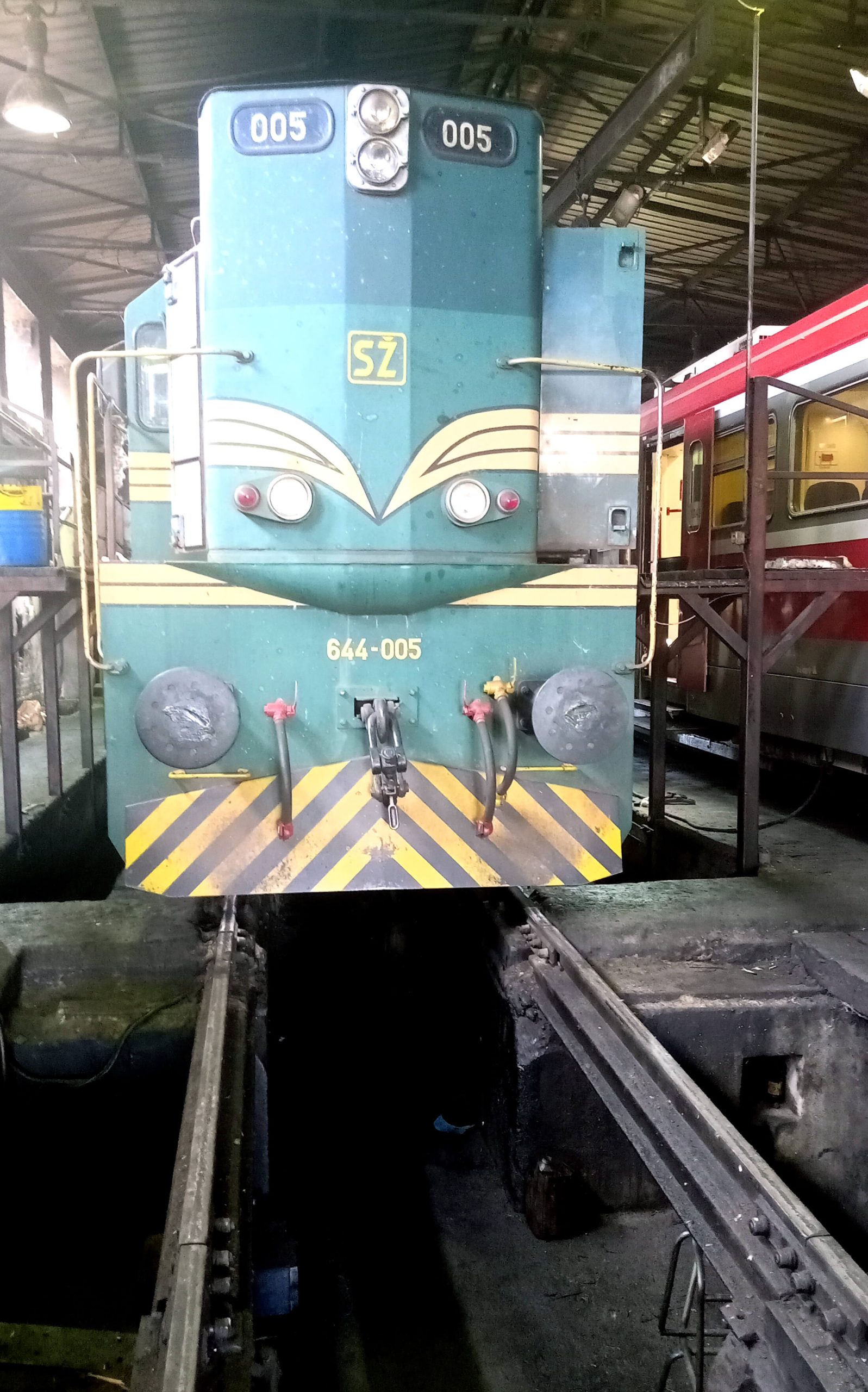 СЕРТИФИКАТ У РУМИ ОТВАРА ЈОШ ЈЕДАН ЗЕЛЕНИ СИГНАЛ ЗА УЧЕШЋЕ У МОДЕРНОМ ...